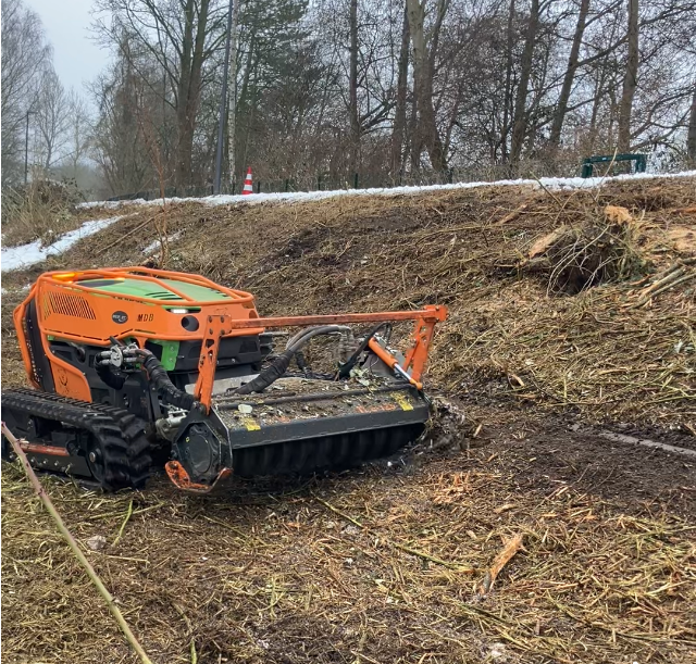 Forstmulcher_2